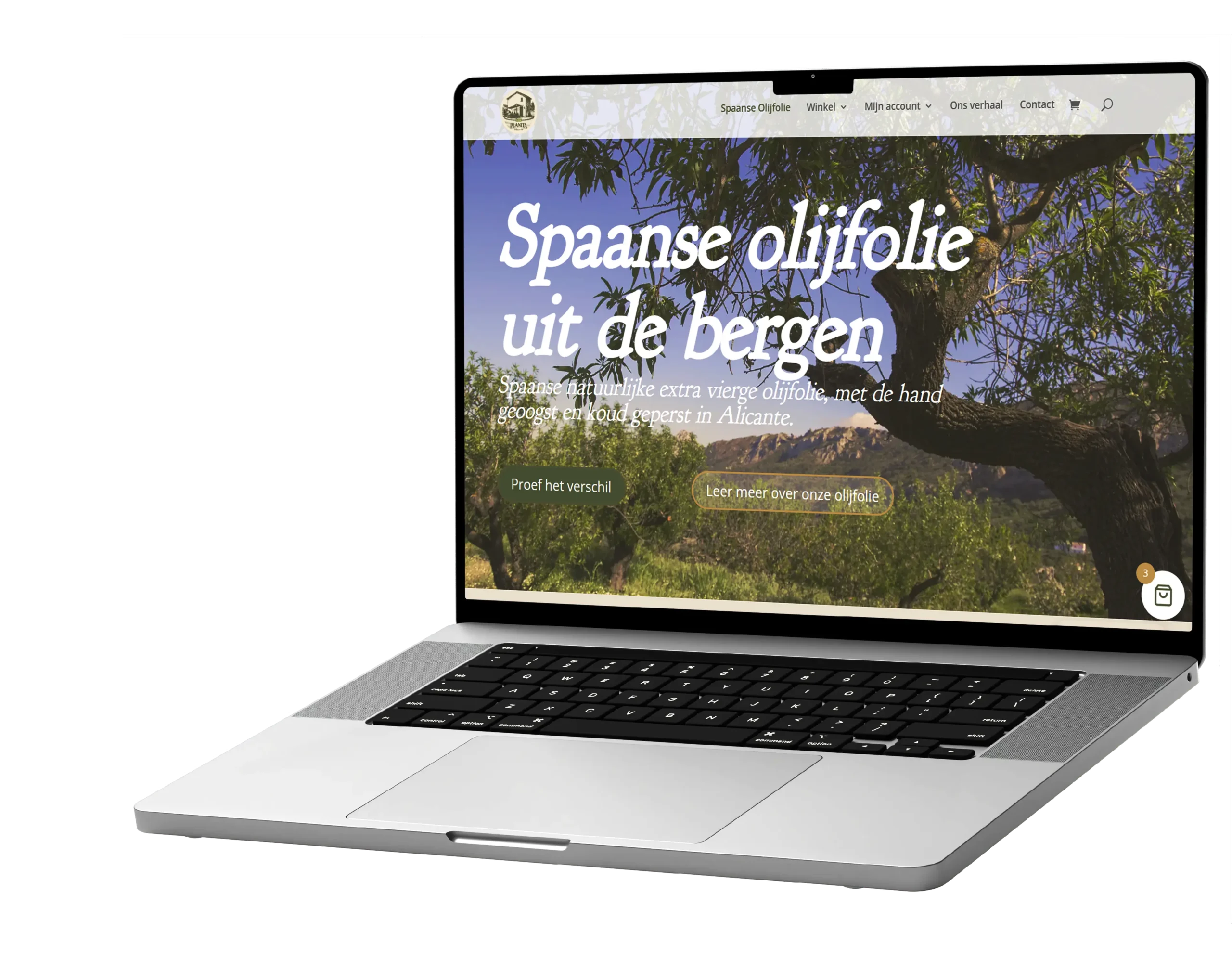 Website laten maken